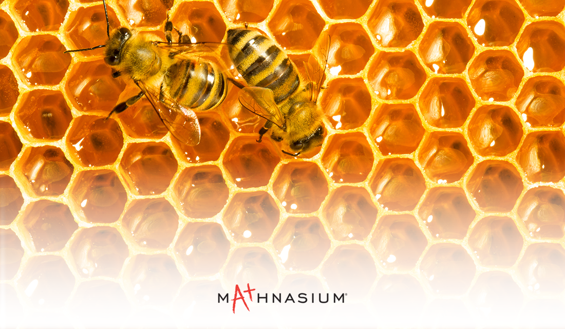 Tessellation in honeycombs
